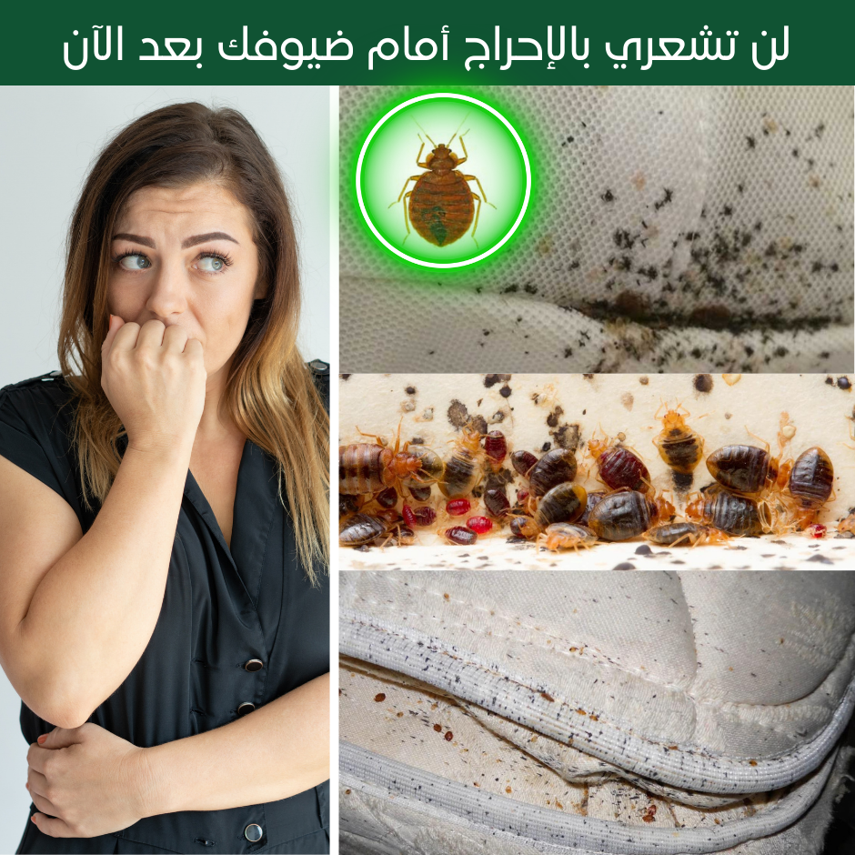 Bedbugs Spray - 🚫 رذاذ قاتل للبق